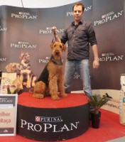 /album/airedaleterrier-portugal/a11406885-10152758863950059-3730207295858661499-n-jpg/